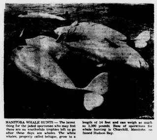 other Newspaper clipping from May 1, 1965 5725198
