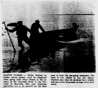 other Newspaper clipping from May 1, 1965 5725202