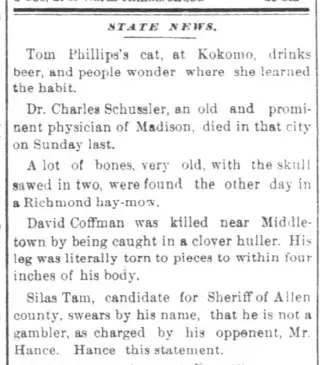 other Newspaper clipping from Sep 23, 1874 5725431