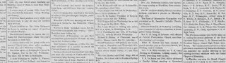other Newspaper clipping from Aug 20, 1880 5727904