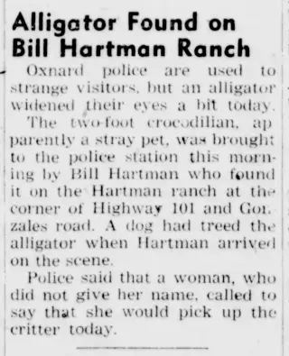other Newspaper clipping from Aug 26, 1948 5728802