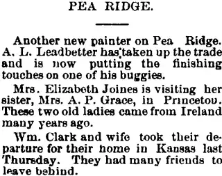 other Newspaper clipping from Jun 1, 1887 5732908