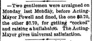 other Newspaper clipping from Jan 11, 1879 5734433