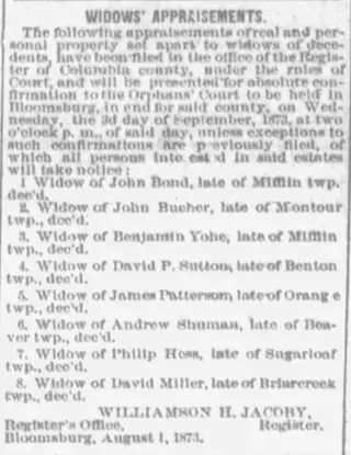 other Newspaper clipping from Aug 9, 1873 5734965