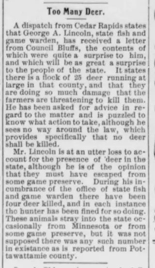 other Newspaper clipping from Feb 2, 1905 5740388