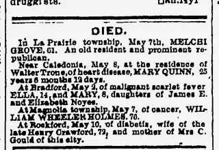 other Newspaper clipping from May 12, 1881 5740948