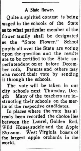 other Newspaper clipping from Dec 3, 1902 5741100