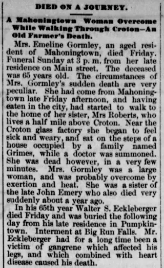 other Newspaper clipping from Sep 18, 1889 5741850