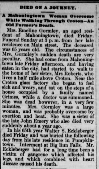 other Newspaper clipping from Sep 18, 1889 5742057