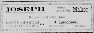 other Newspaper clipping from May 31, 1900 5743285