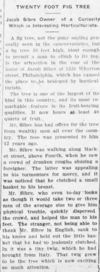 other Newspaper clipping from Aug 4, 1908 5743804