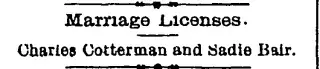 Marriage Newspaper clipping from Mar 11, 1893 5743940