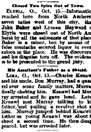 other Newspaper clipping from Oct 15, 1894 5744567