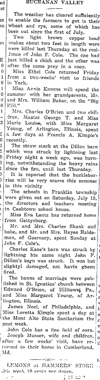 other Newspaper clipping from Jul 21, 1914 5744978