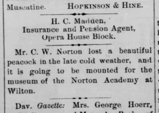 other Newspaper clipping from Mar 13, 1885 5746752