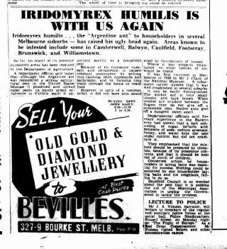other Newspaper clipping from Aug 1, 1946 5749278
