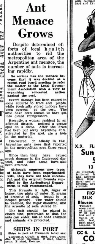 other Newspaper clipping from Nov 20, 1946 5749487