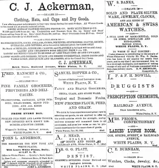other Newspaper clipping from Jan 30, 1885 5750039