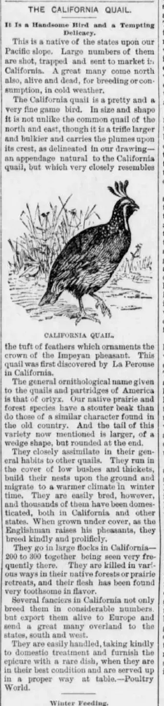 other Newspaper clipping from Dec 3, 1892 5750068