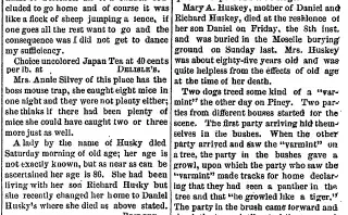 other Newspaper clipping from Mar 16, 1878 5751185