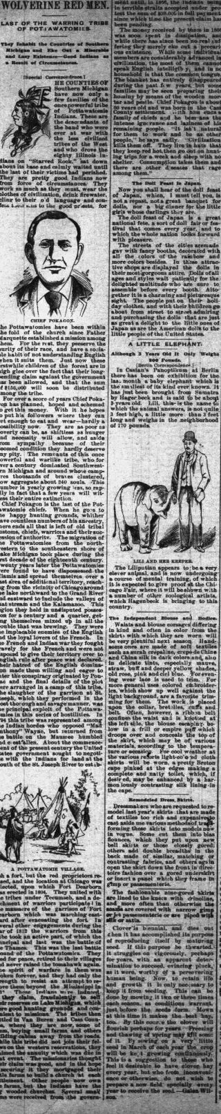 other Newspaper clipping from May 21, 1893 5752152