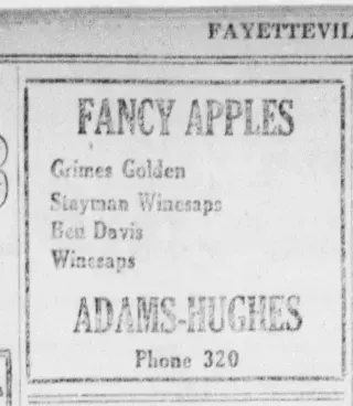 other Newspaper clipping from Nov 24, 1920 5753792