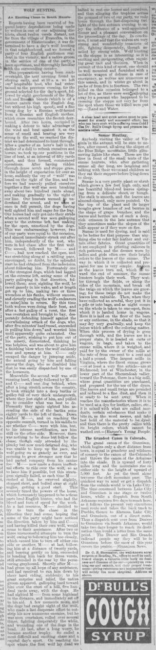 other Newspaper clipping from Nov 17, 1880 5755770