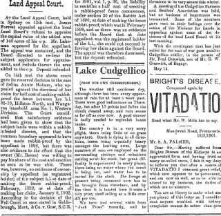 other Newspaper clipping from May 24, 1902 5756469