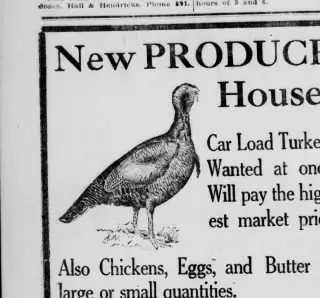 other Newspaper clipping from Nov 8, 1920 5760981