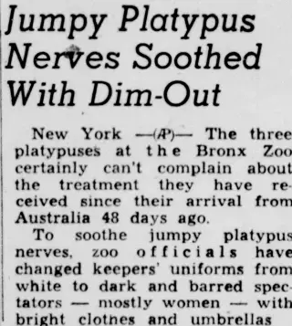 other Newspaper clipping from Jun 11, 1947 5762250