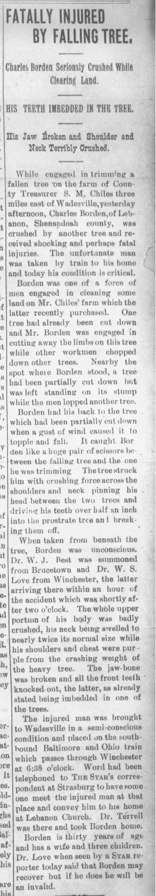 other Newspaper clipping from Jul 31, 1900 5762996