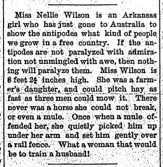 other Newspaper clipping from Nov 14, 1891 5768911