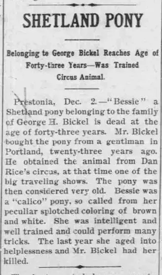 other Newspaper clipping from Dec 5, 1907 5770242