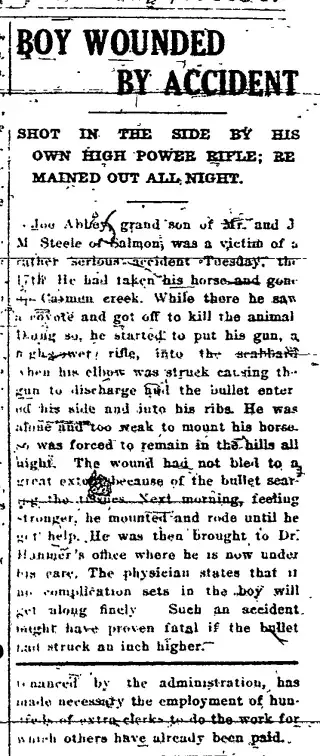 other Newspaper clipping from Jun 25, 1919 5773551