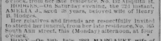 other Newspaper clipping from Jul 24, 1882 5774003