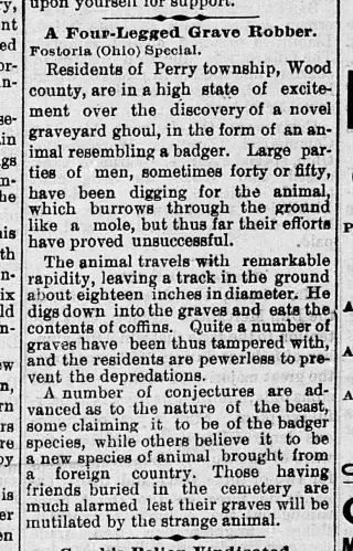 other Newspaper clipping from Jan 12, 1884 5774434