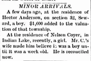other Newspaper clipping from Nov 28, 1878 5776802