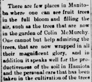 other Newspaper clipping from Jun 5, 1913 5779421