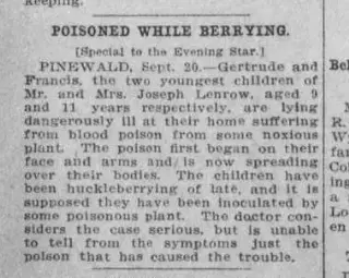 other Newspaper clipping from Sep 20, 1907 5780988