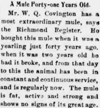 other Newspaper clipping from Oct 9, 1897 5783656