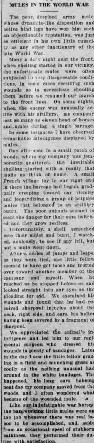 other Newspaper clipping from May 13, 1921 5784497