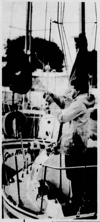 other Newspaper clipping from Jun 18, 1981 5786076