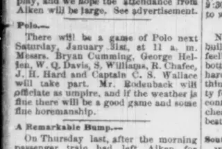 other Newspaper clipping from Jan 28, 1885 5790102