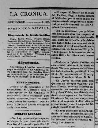 other Newspaper clipping from Sep 4, 1875 5793978