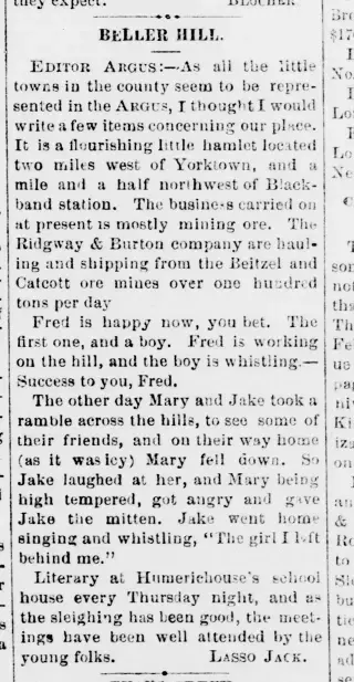 other Newspaper clipping from Feb 4, 1881 5794350