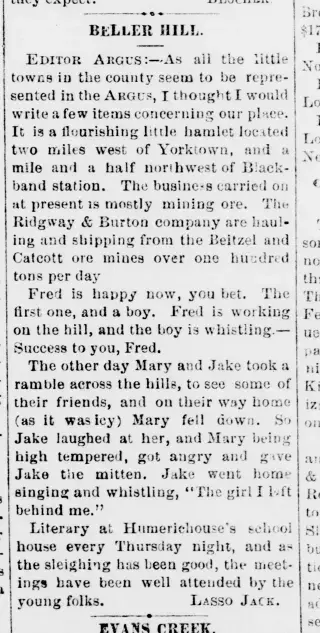 other Newspaper clipping from Feb 4, 1881 5794356