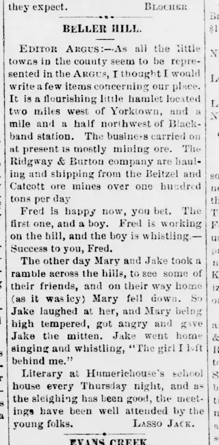 other Newspaper clipping from Feb 4, 1881 5794359