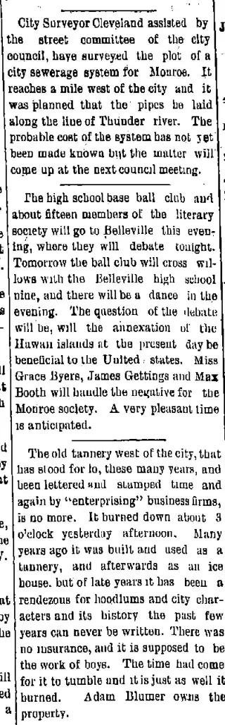 other Newspaper clipping from May 29, 1894 5802207