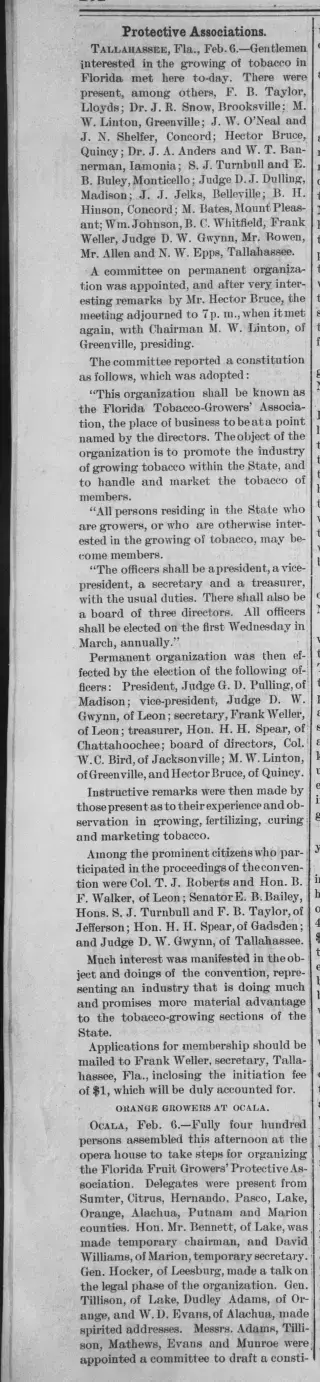 other Newspaper clipping from Feb 13, 1889 5802978