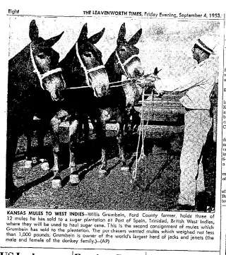 other Newspaper clipping from Sep 4, 1953 5805584